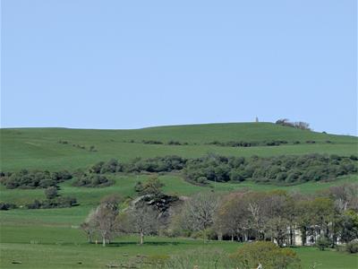 Picture 30
